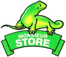 Marque n° 3 351 100 de la société Monsieur Store